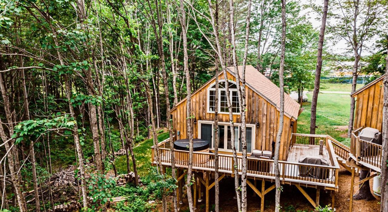 Moonlight Treehouse At Belgrade Hospitality Villa ภายนอก รูปภาพ